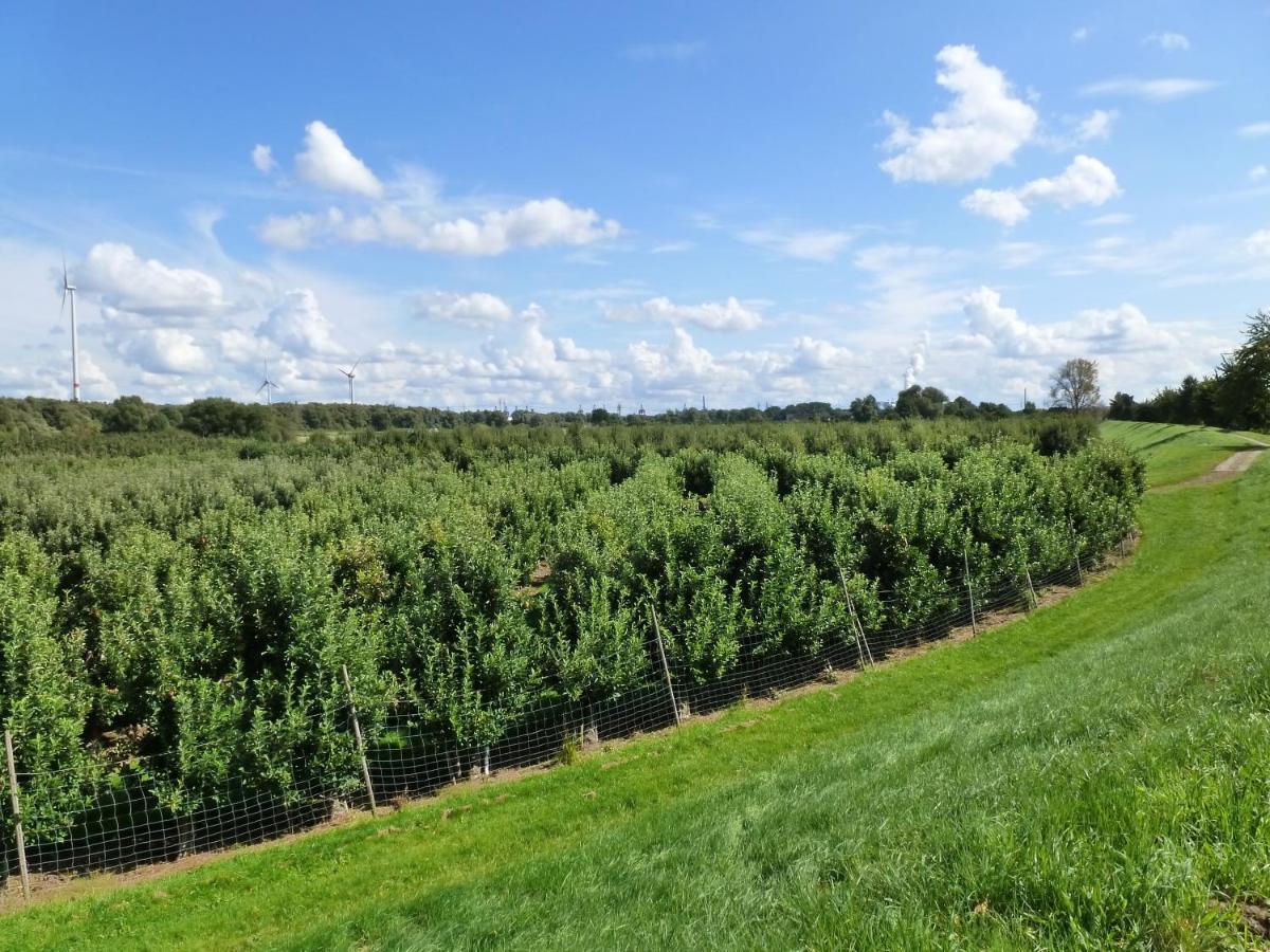 Lejlighed Im Alten Land *