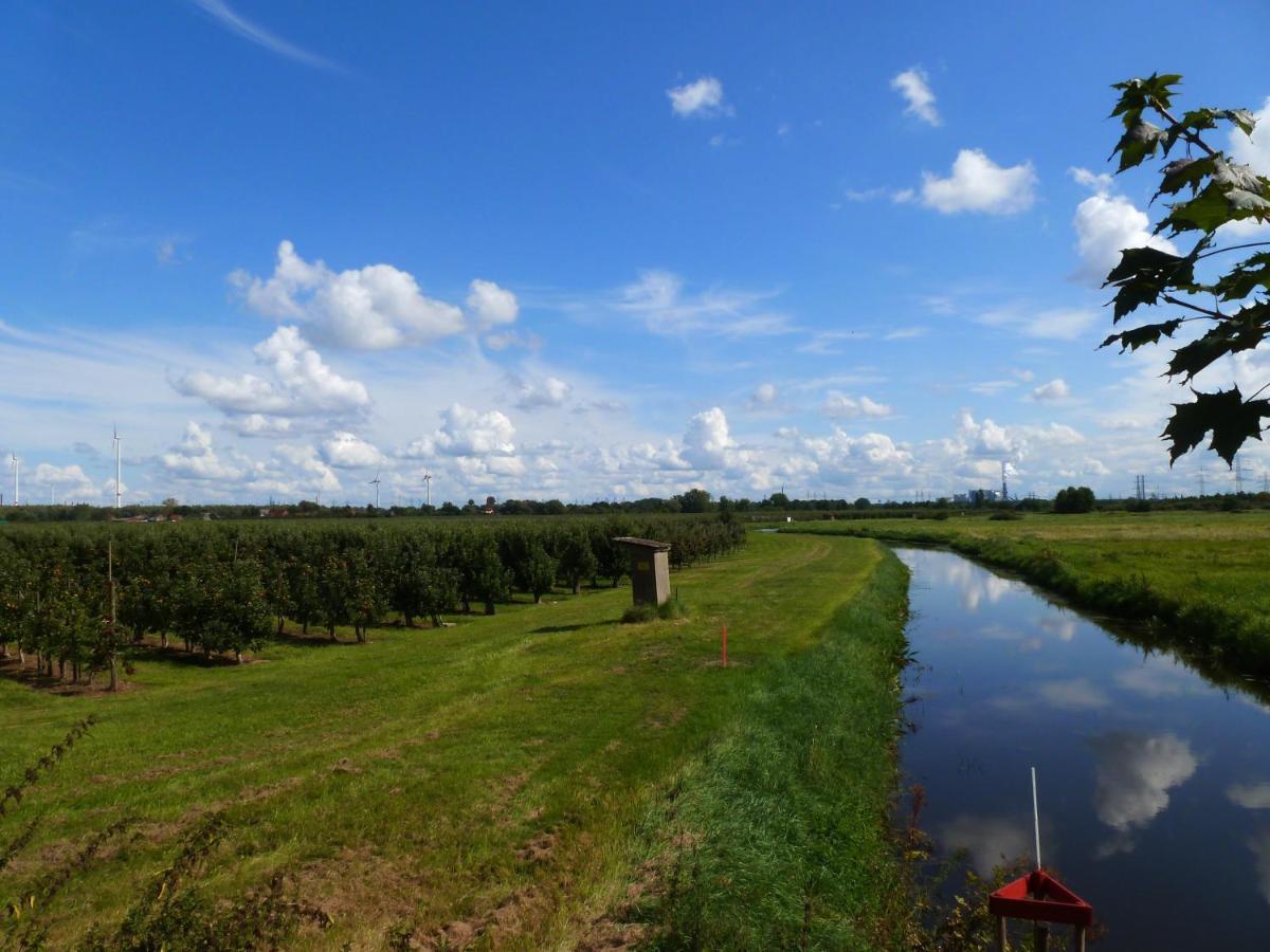 Im Alten Land * Hamborg
