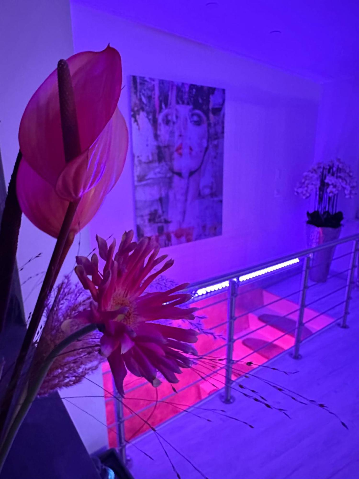 Jb Loft *