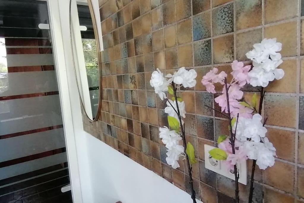 Beletage Alstertal Appartement