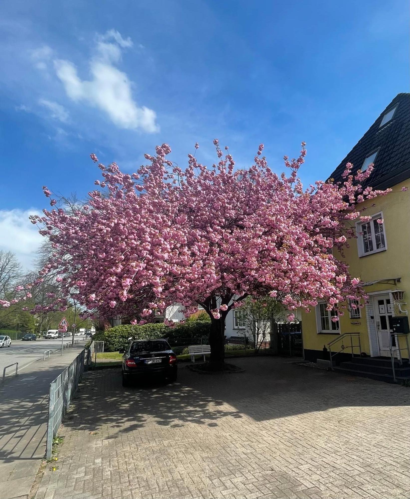 Hotel Wandsbek