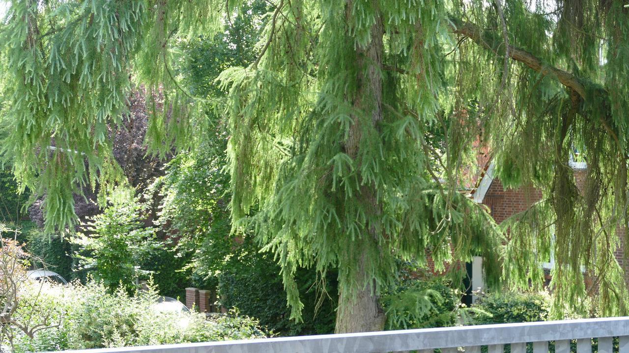 Privatunterkunft Alsterdorf