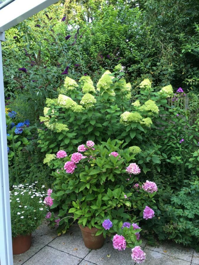 Bigalke Bed & Breakfast Hamborg