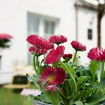 Apartmenthaus Hamburg