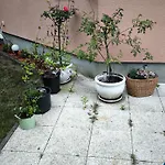 Blumenberg Ferienwohnung