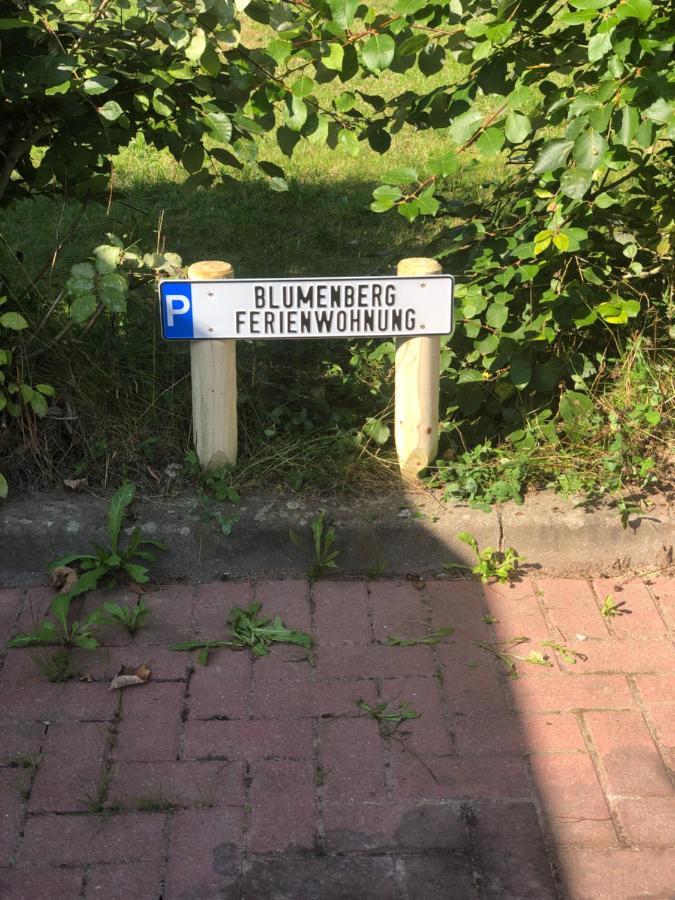 Blumenberg Appartement *