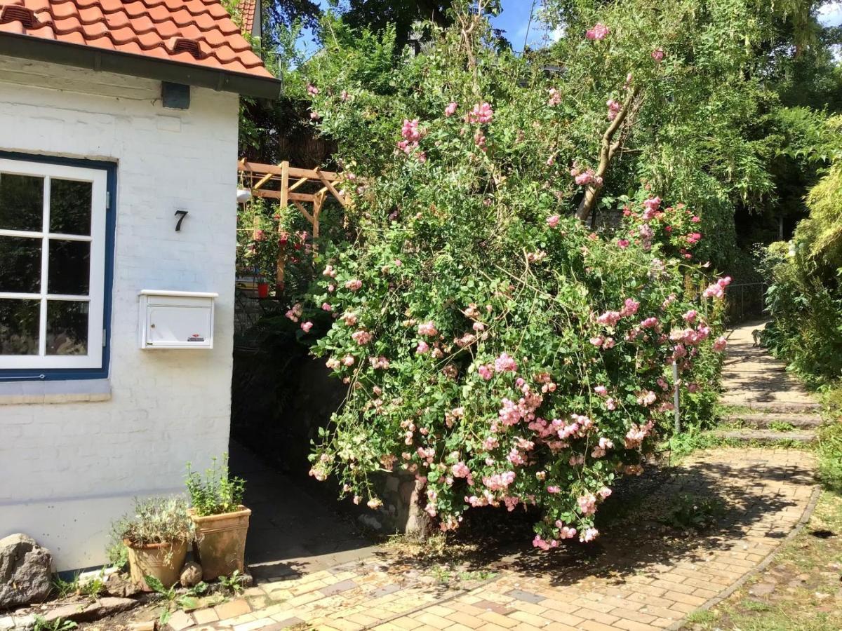 Fischerhaus Blankenese Apartment