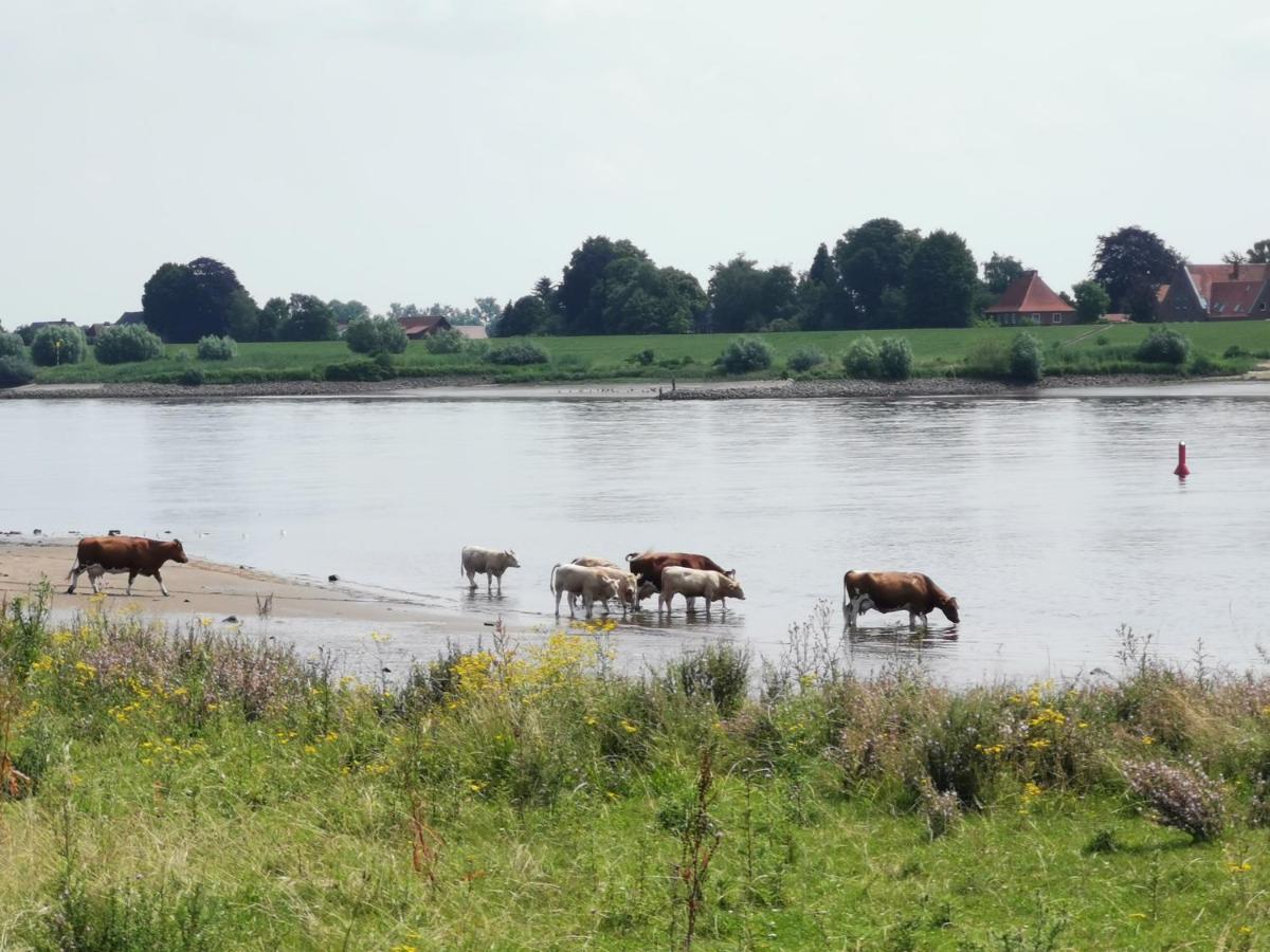 Haus Am Deich 47 Stilvolles An Der Elbe In Stadtnaehe Holiday home *