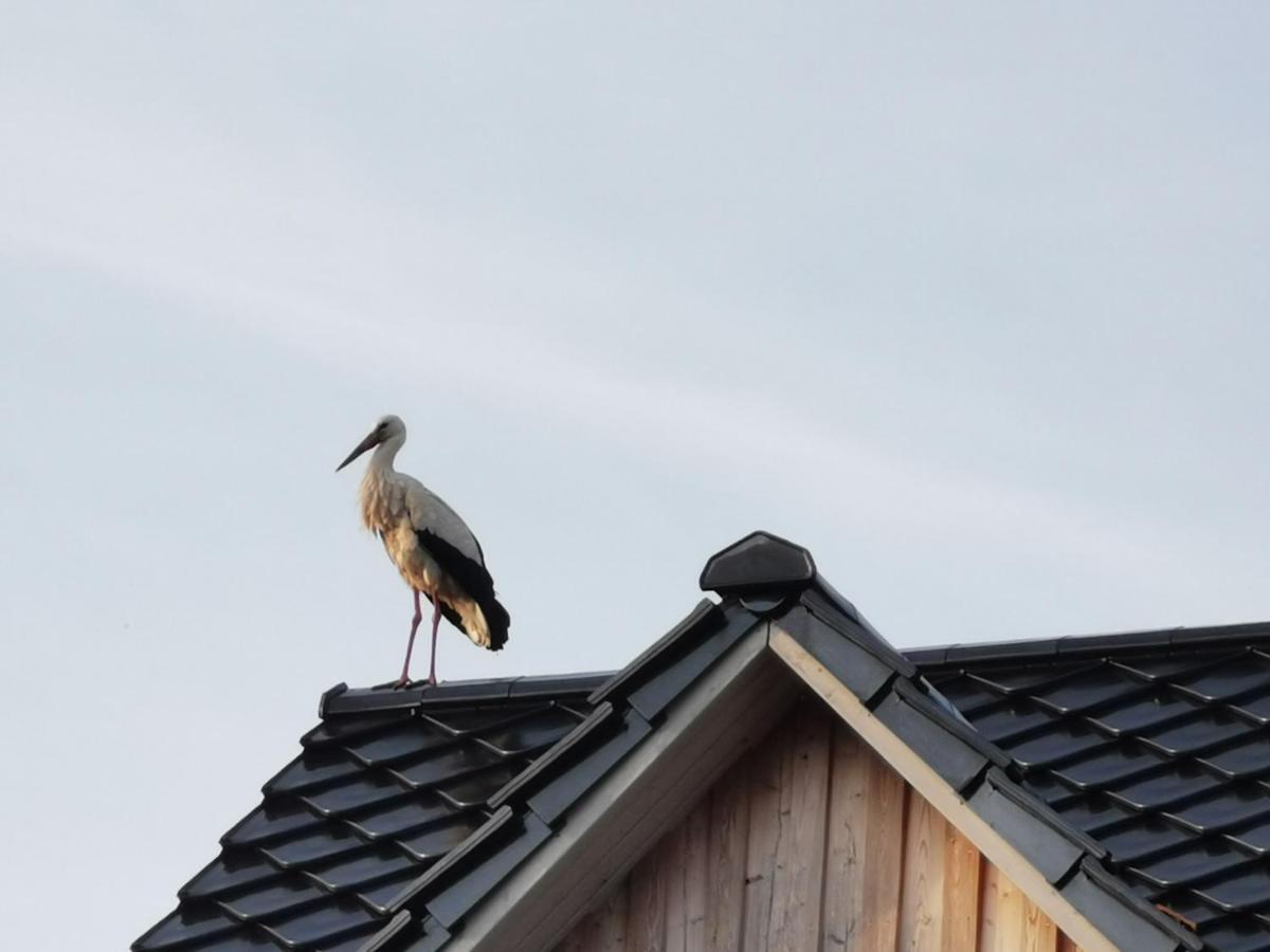 Holiday home Haus Am Deich 47 Stilvolles An Der Elbe In Stadtnaehe