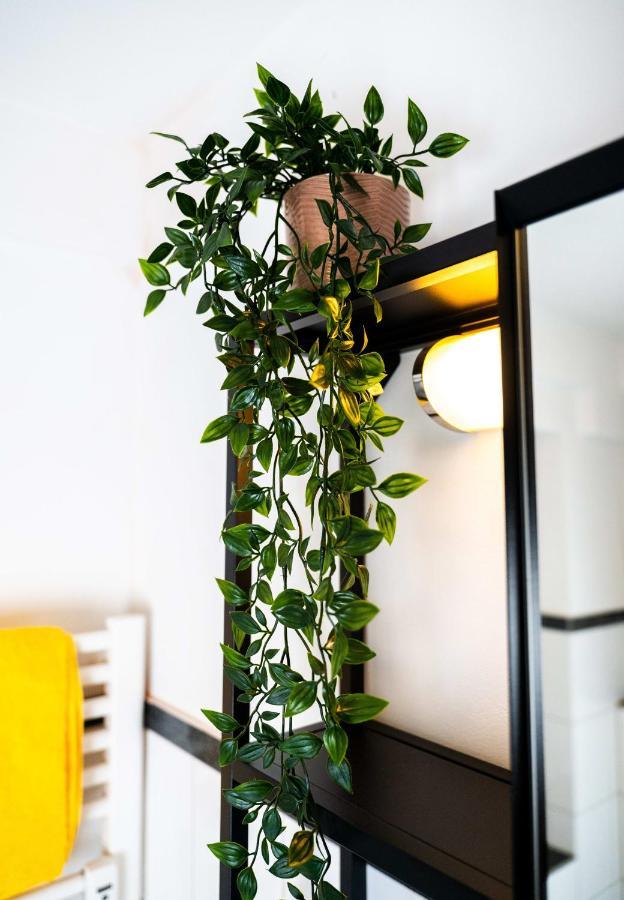 Appartement Spacious In Urban Location