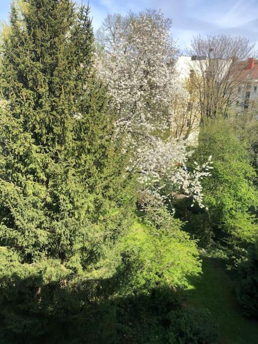 Aussenalster Penthouse Charakter