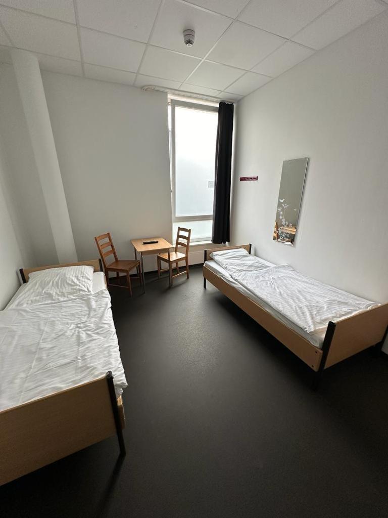 Hostel Arena *