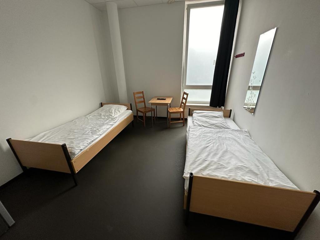 Arena Hostel *