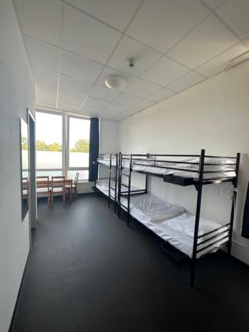 Hostel Arena Hamburg-Harburg