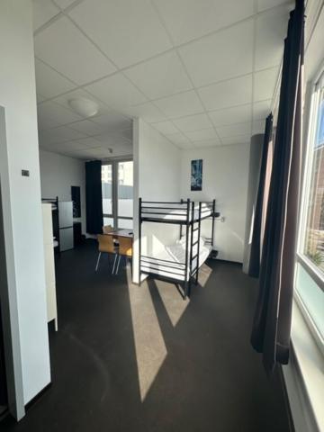 Arena Hostel *