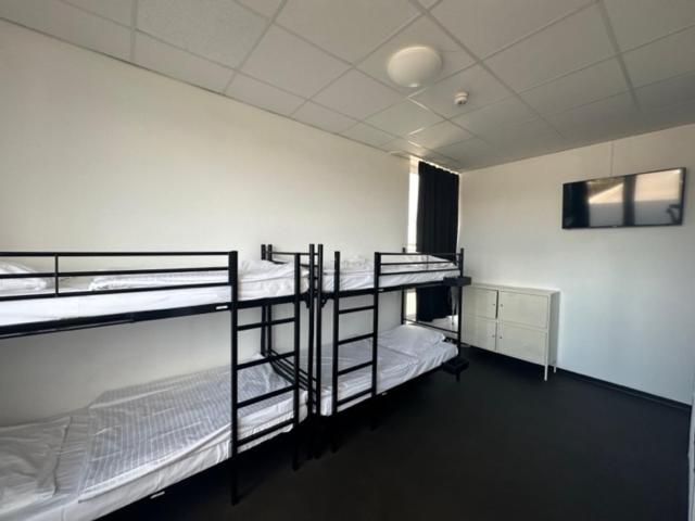 Hostel Arena