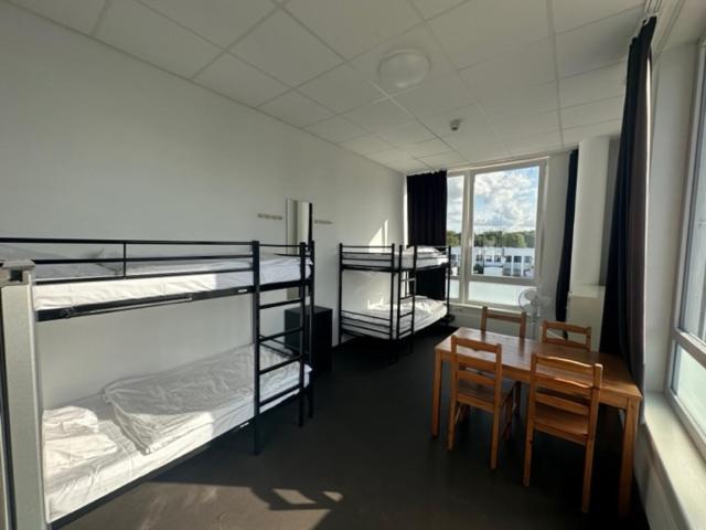 Hostel Arena *