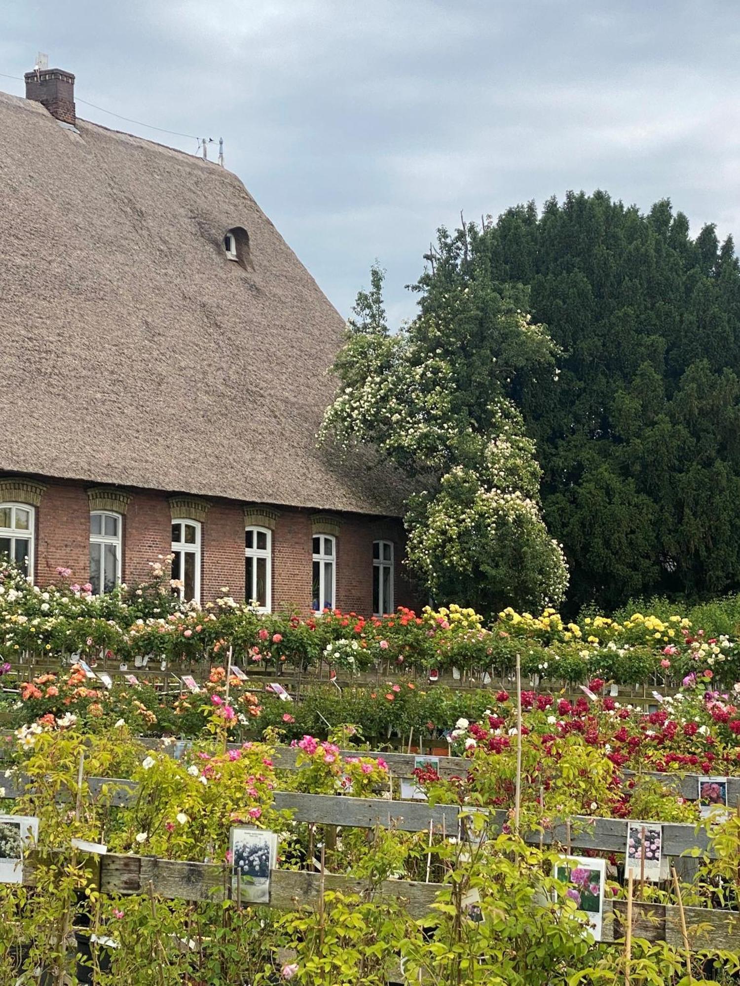 Vierlaender Hippiehof