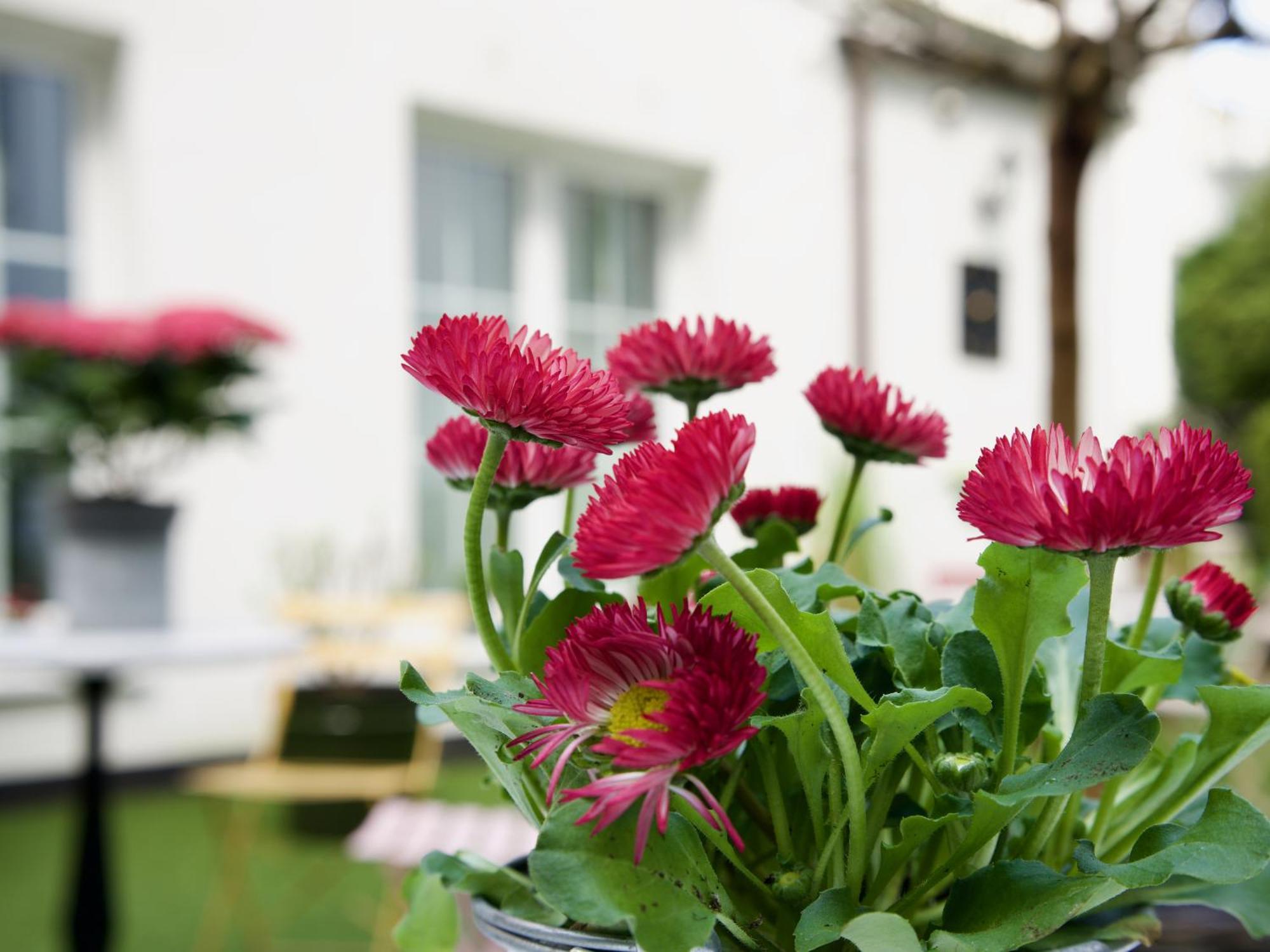Apartmenthaus 3*