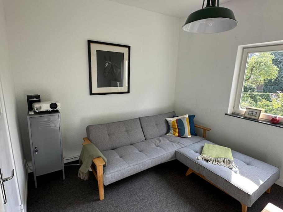 Quiet Modern End-unit House *