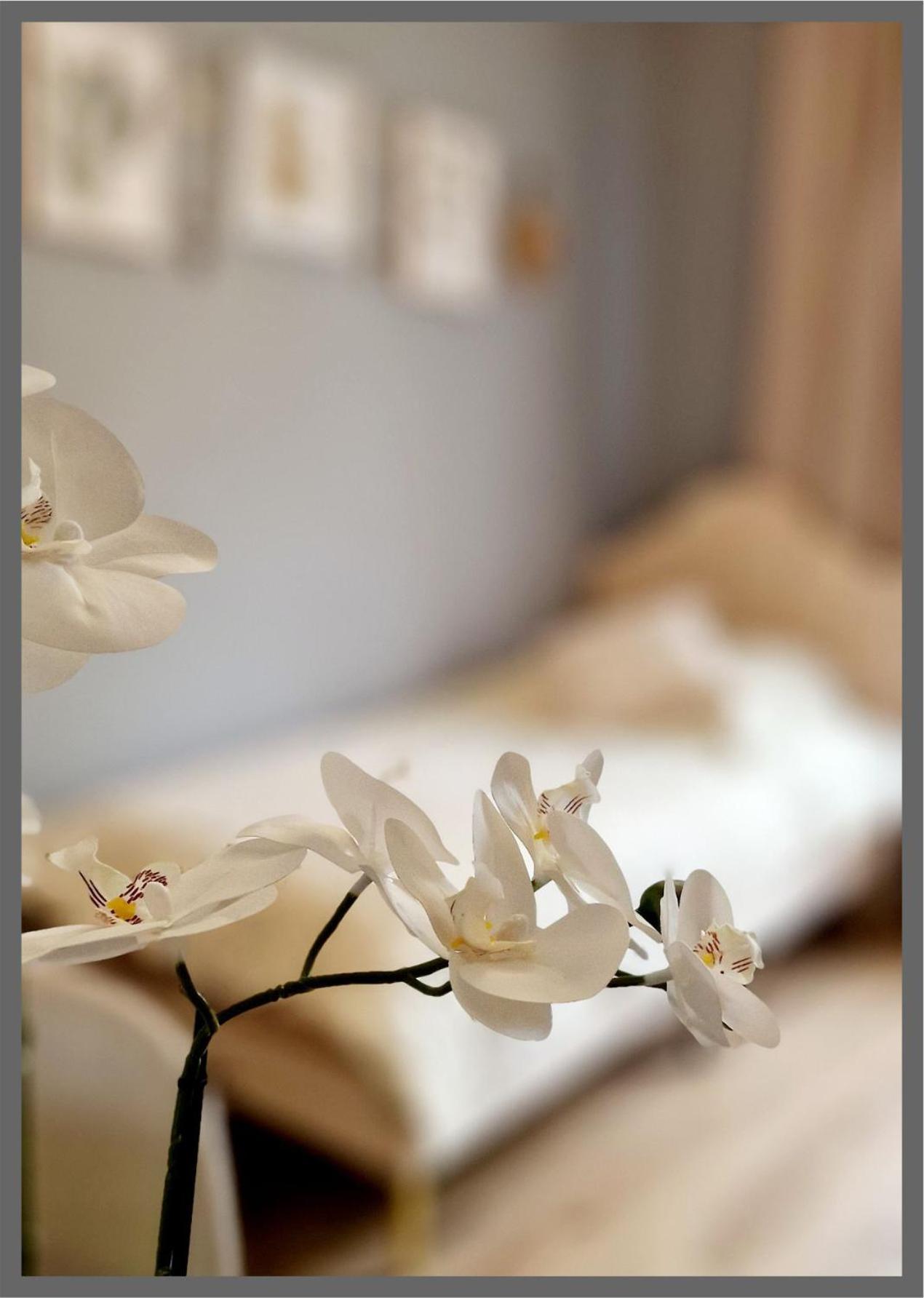 My Bed Bergedorf By Gugu *