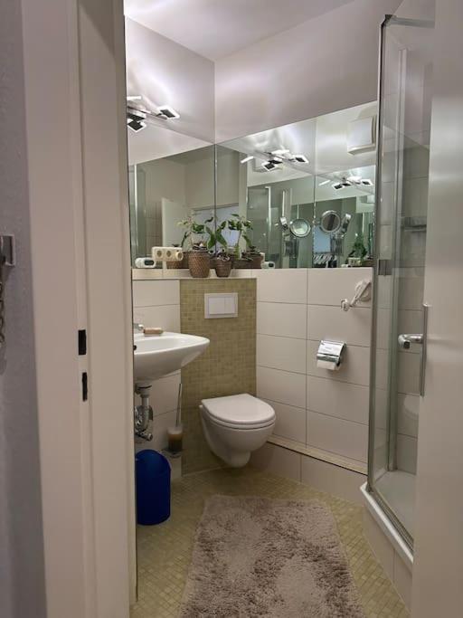 Zentrale Whg In Mitte Apartment Hamburg