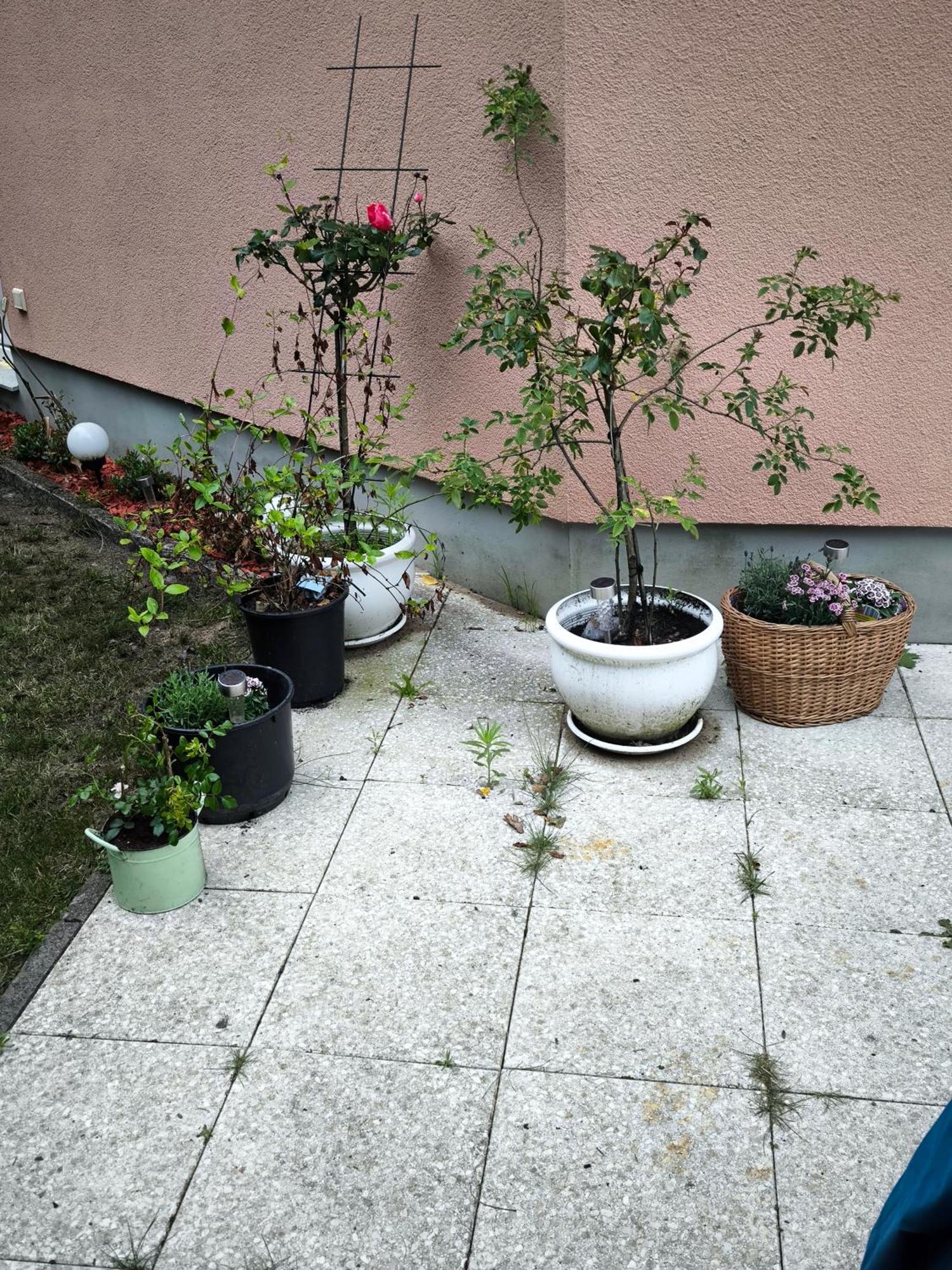 Blumenberg Appartement Hamburg-Harburg