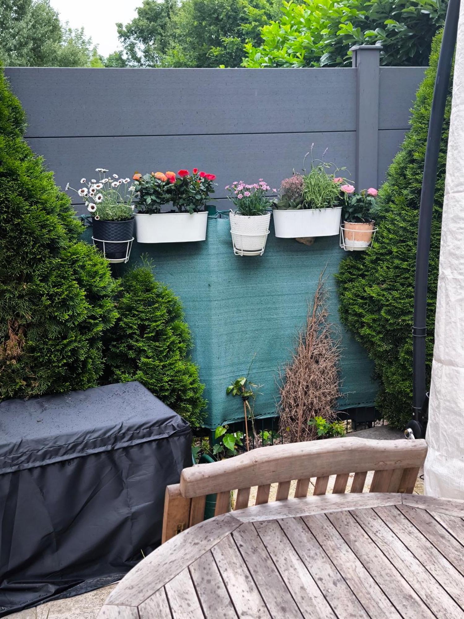 Appartement Blumenberg *