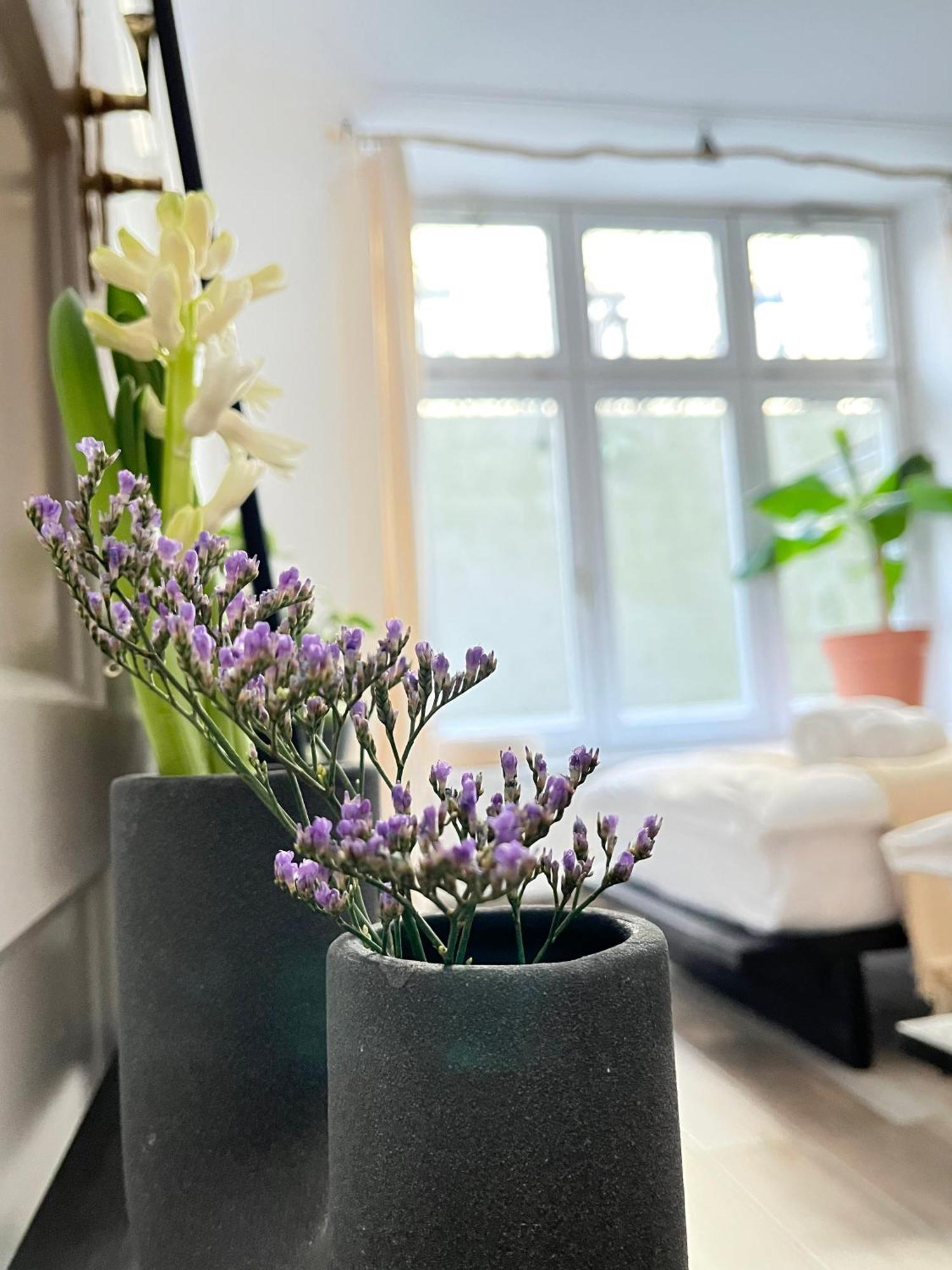 Apartment Stylish *