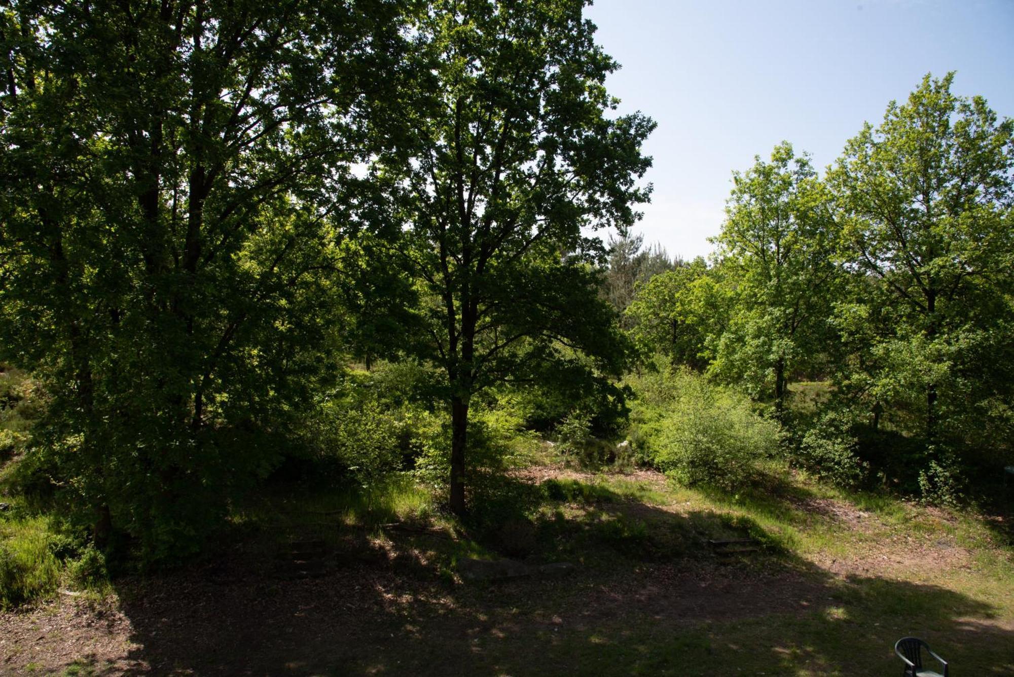 Heideparadies Lejlighed Hamborg