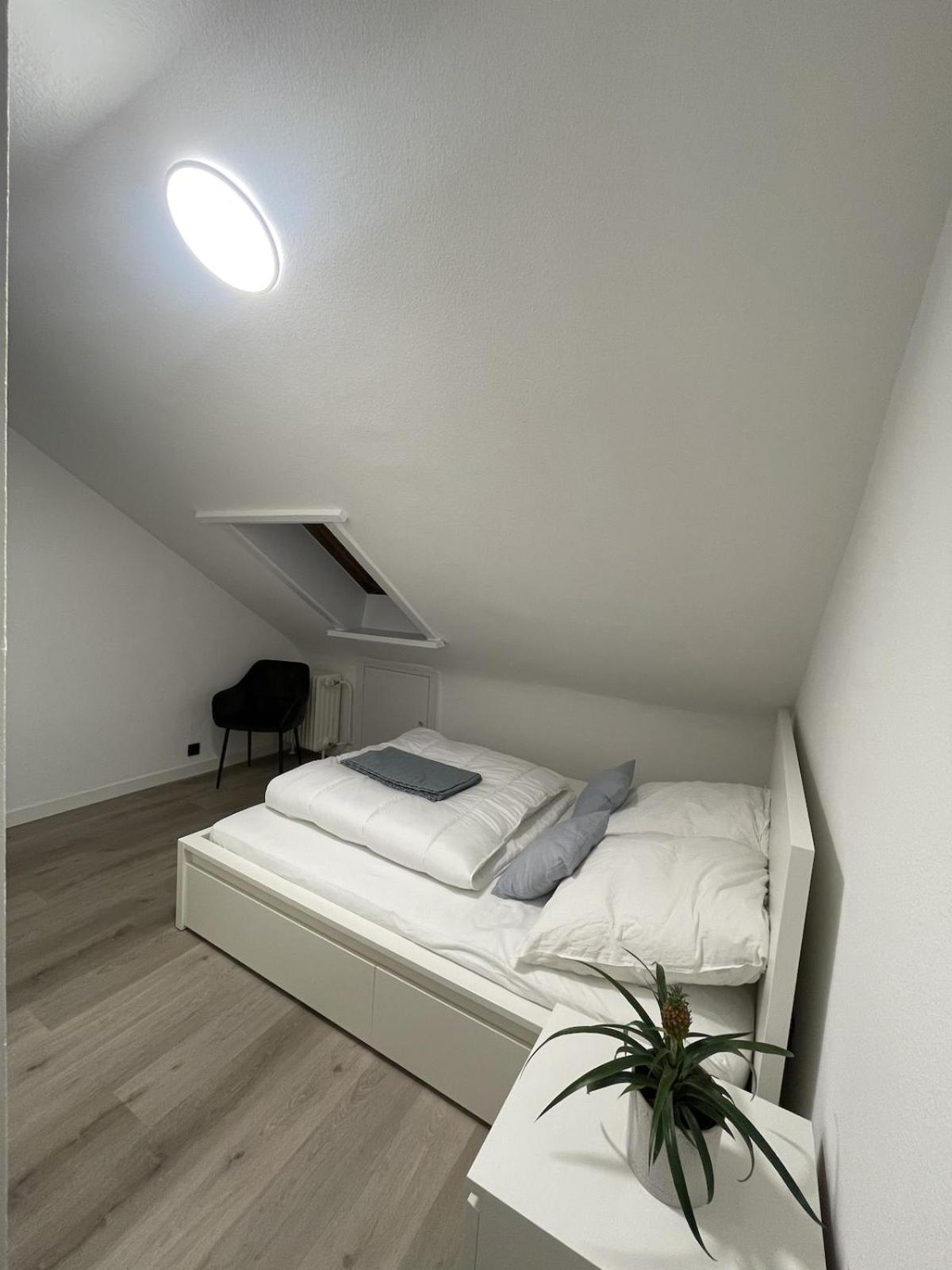 Bright & Modern In Apartment