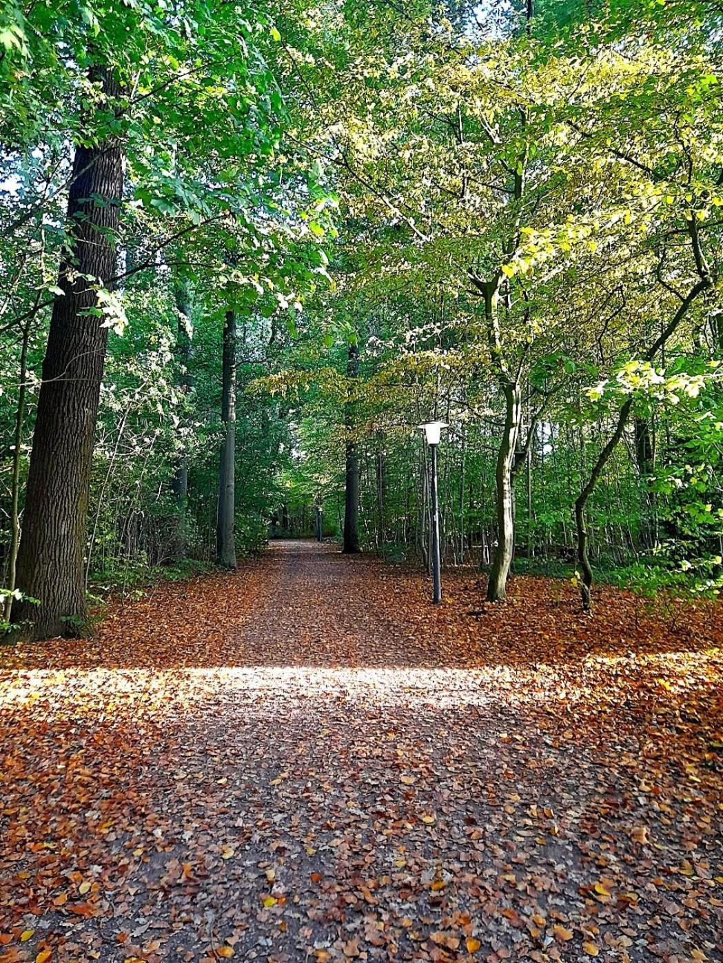 Private Small W Own Entrance, Spacious Bathroom, On-site Parking Lejlighed Hamborg