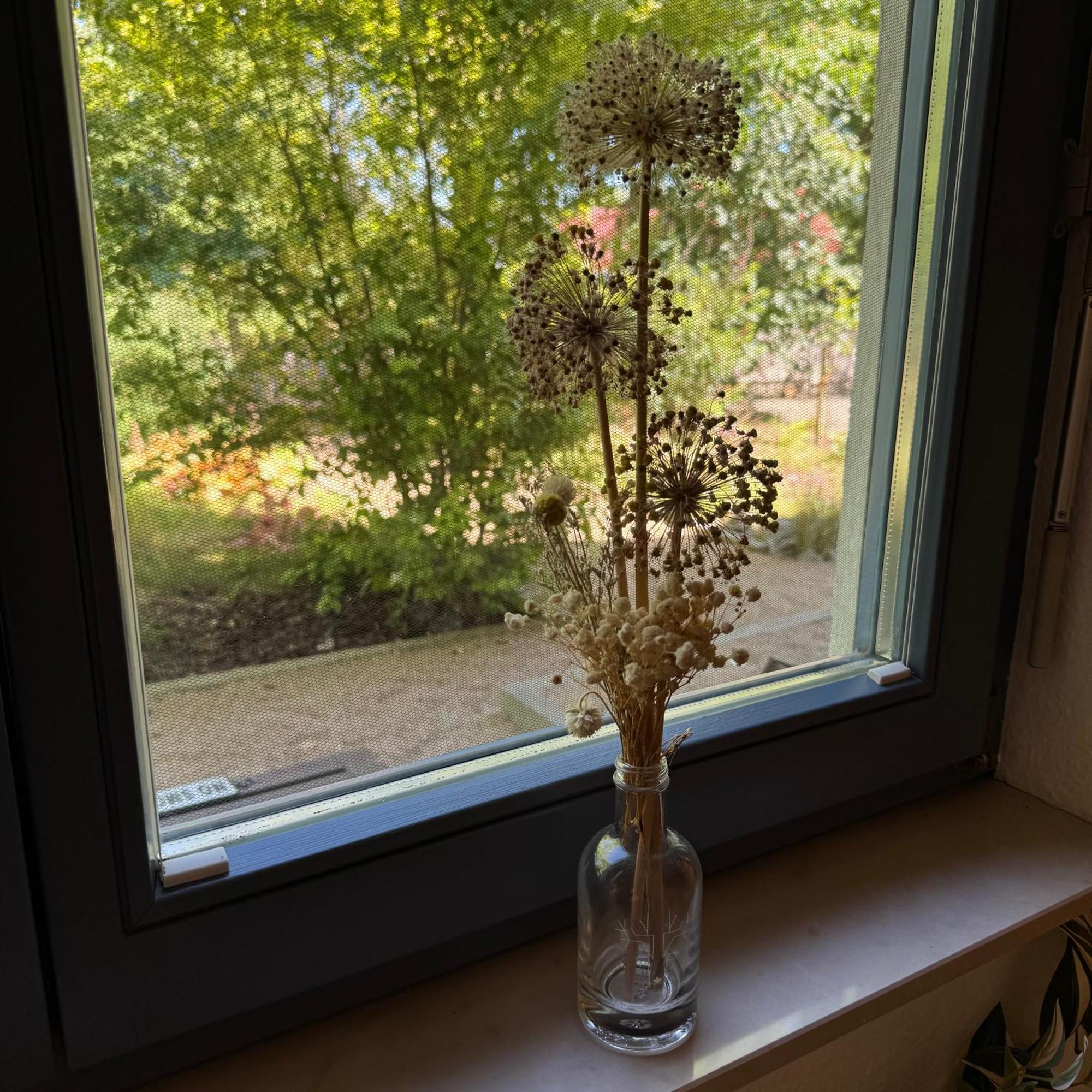 Elbinsel-home 'alpakaliebe' Lejlighed *