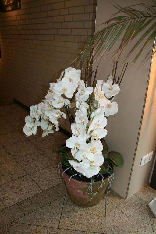 Albertus Paris Stadt - Aparthotel Hamburg