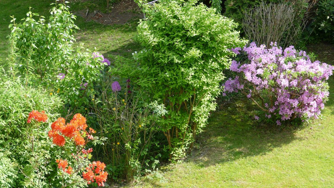 Alsterdorf Homestay