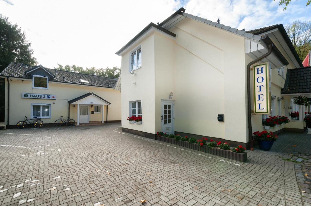Gruene Tanne
