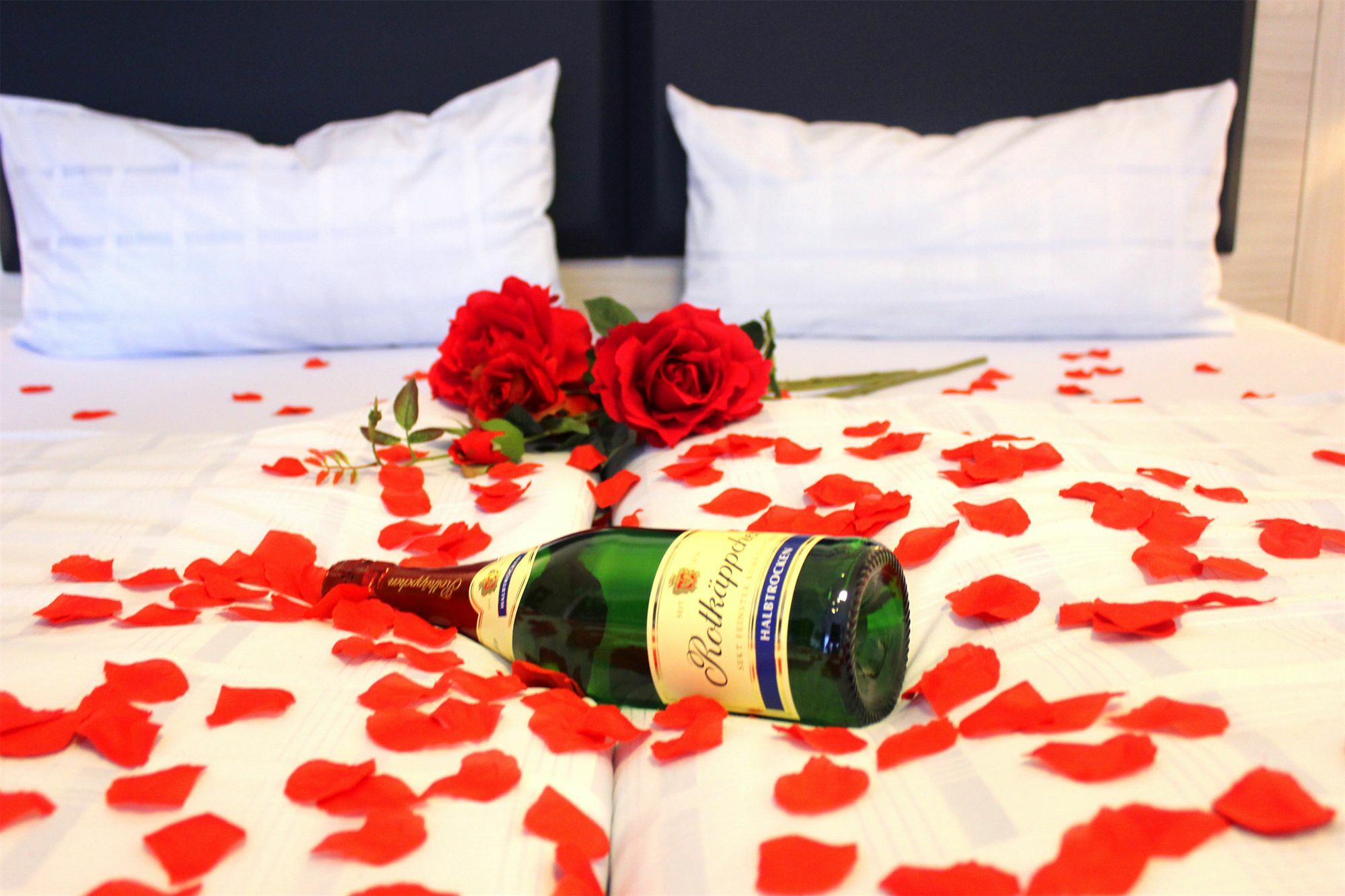 Hotel Altenwerder Hof 3*