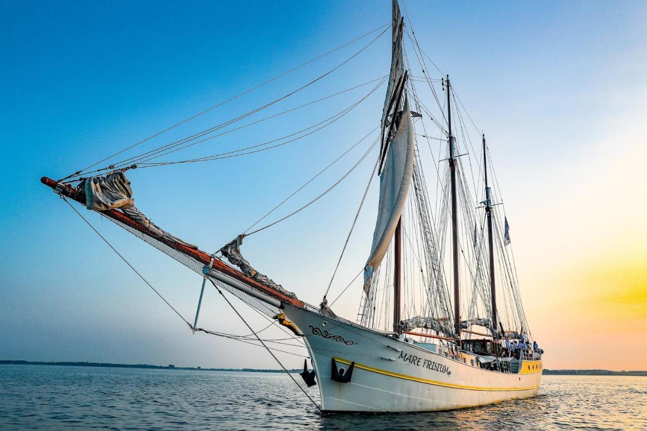 Segelschiff Mare Frisium * Hamborg