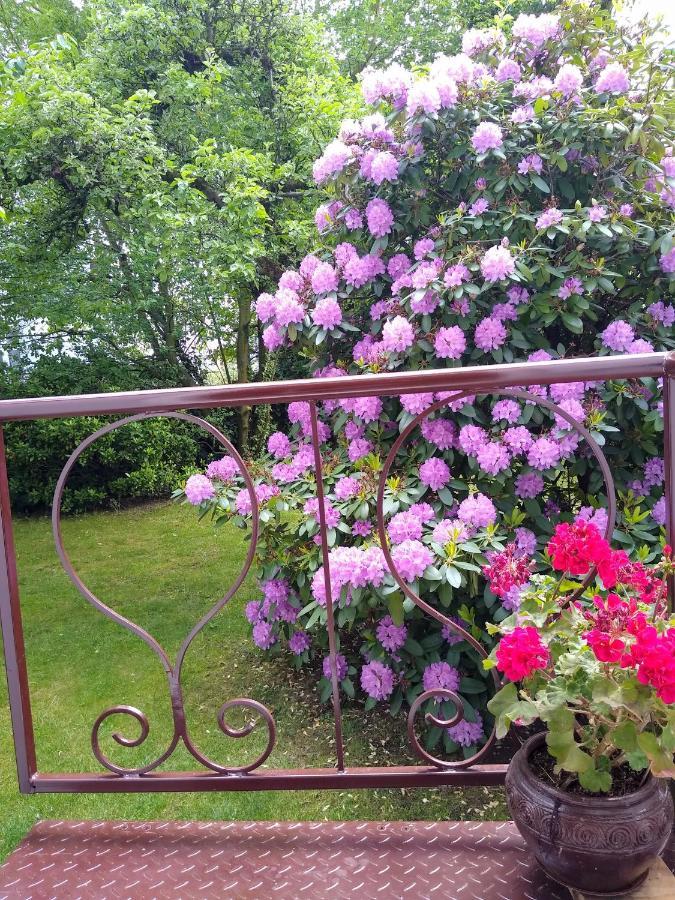 Alster Garden Apartment Hamburg