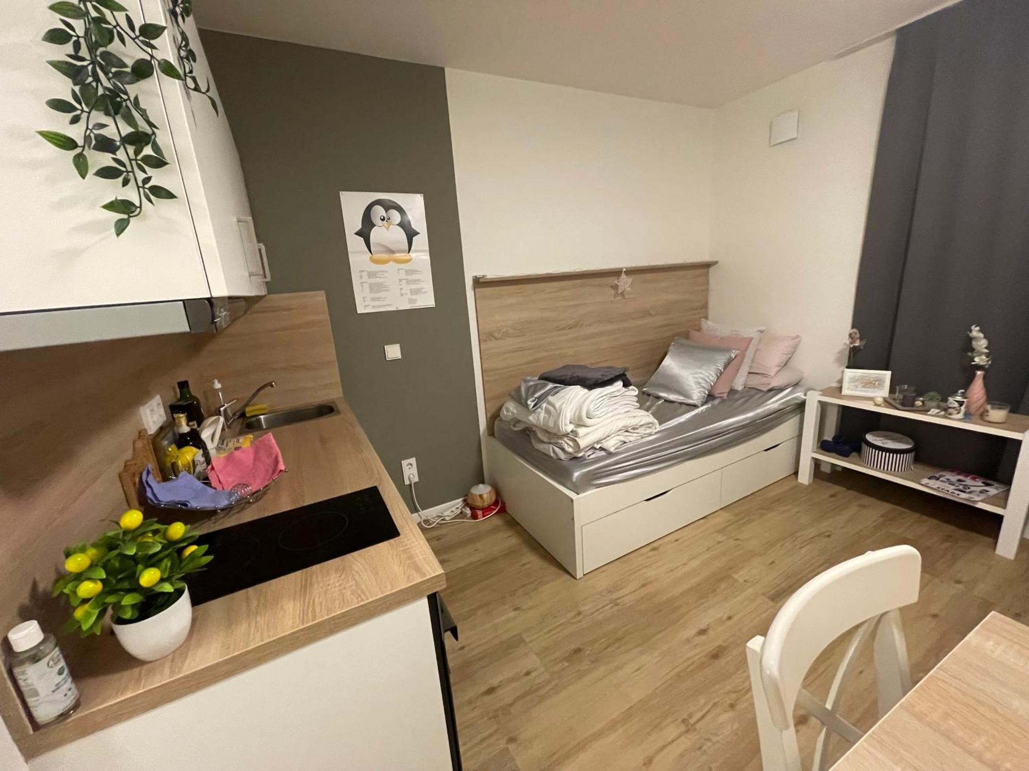 Neuer Huehnerposten Apartment Hamburg