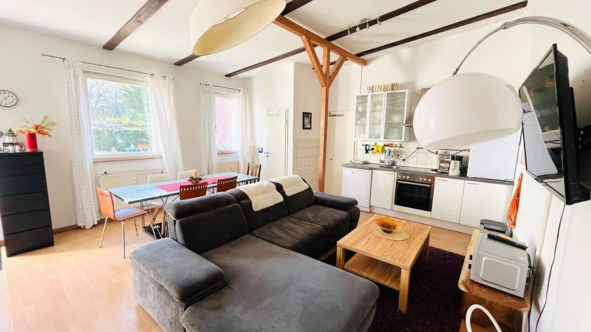 Loft Moin Near Ndr Uke Zoo *