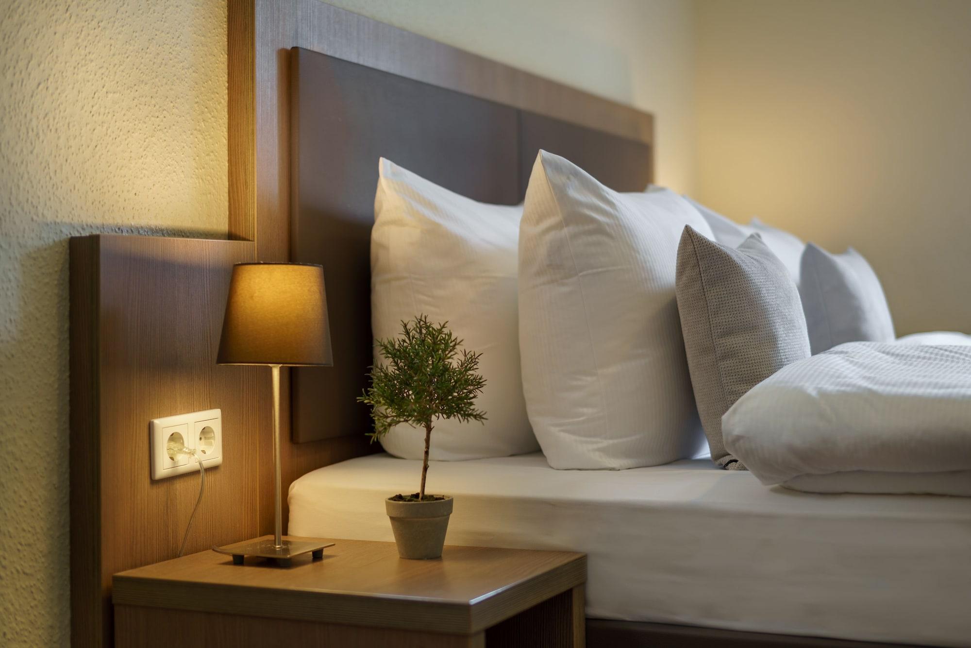 Alster Hotel 3*