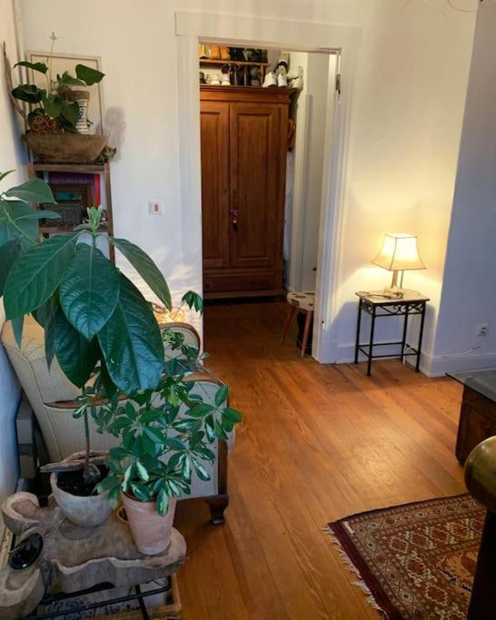 Artist Apartment, Skyline View & Breakfast Inclusive * Hamburg
