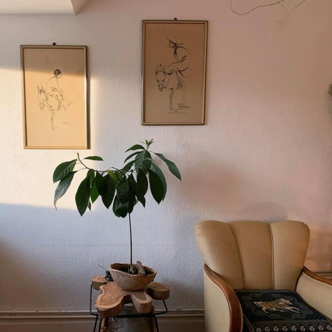 Apartment Artist Apartment, Skyline View & Breakfast Inclusive *