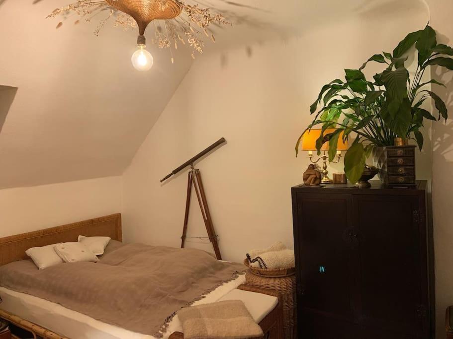 Artist Apartment, Skyline View & Breakfast Inclusive * Hamburg