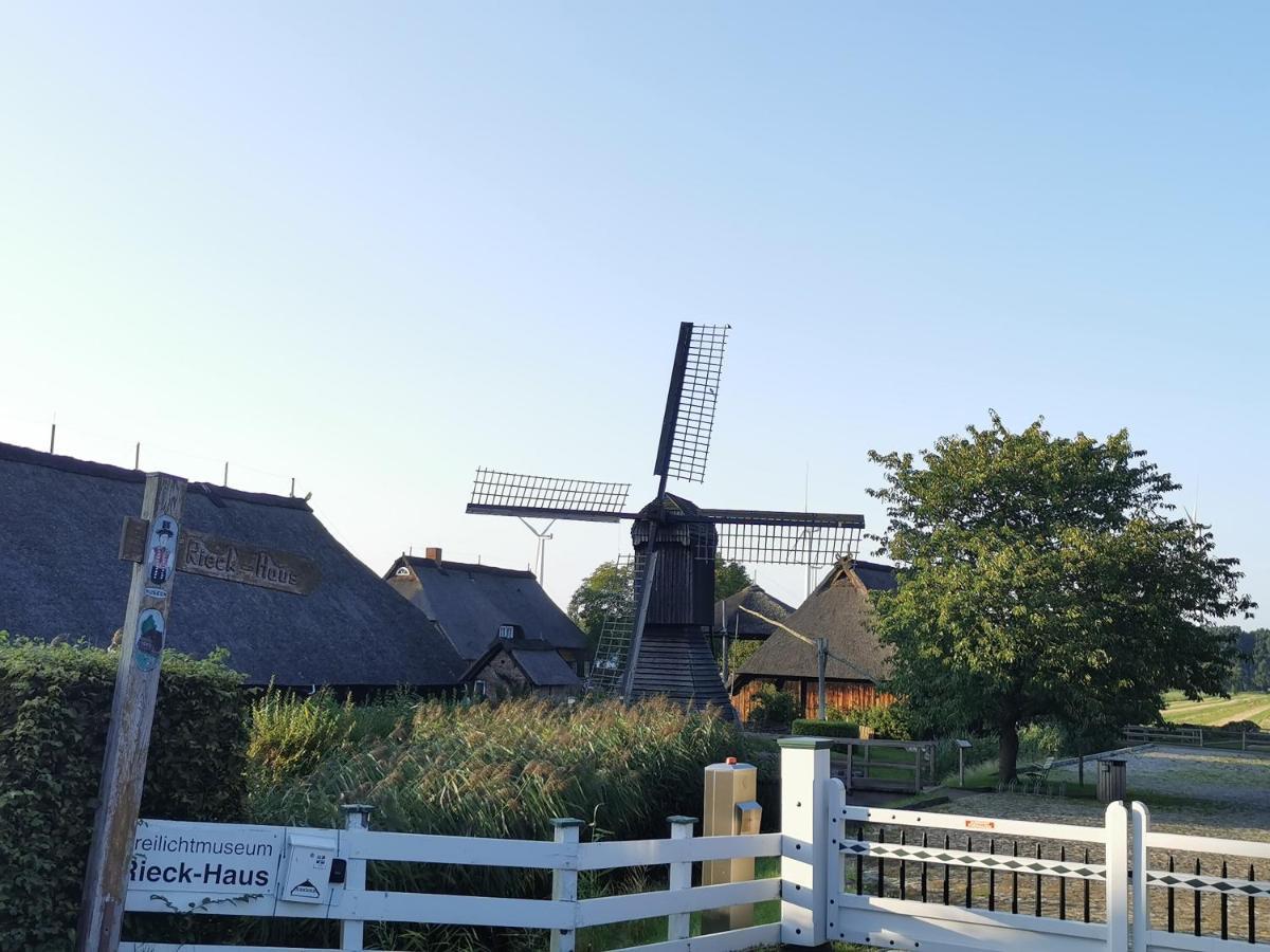 Ferienhaus Haus Am Deich 47 Stilvolles An Der Elbe In Stadtnaehe *