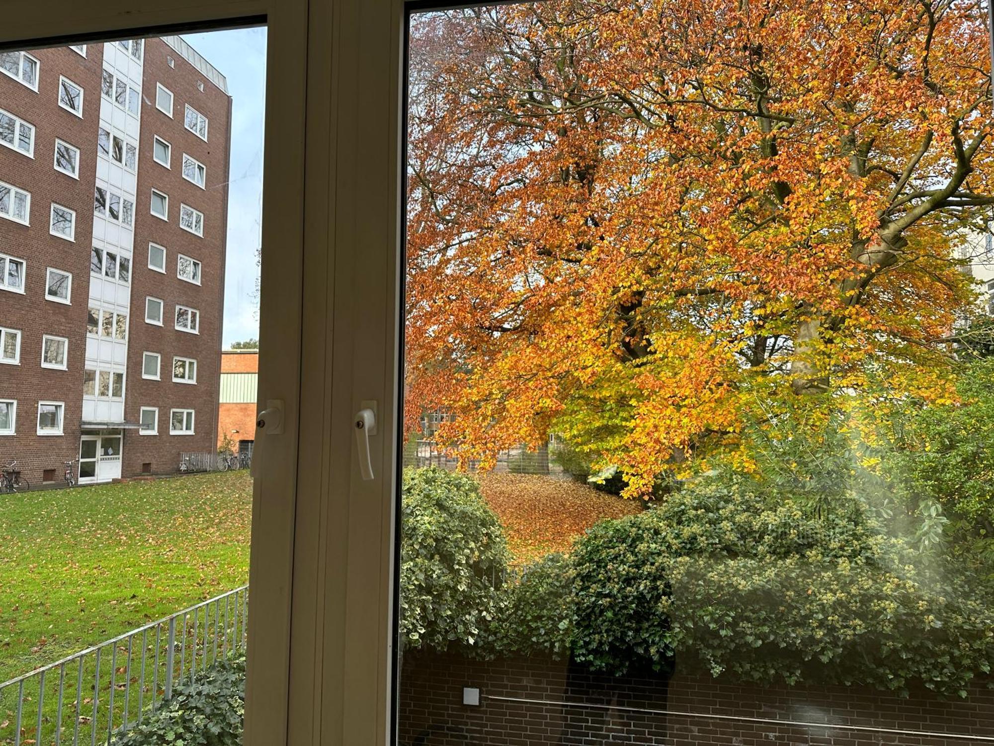 Moin Apartment *