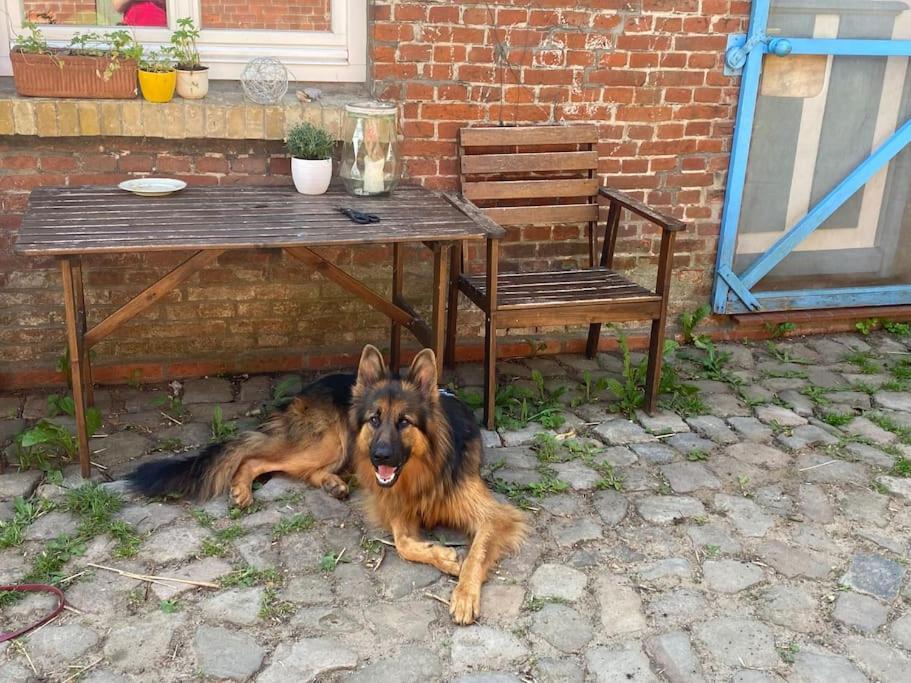 Privatunterkunft Vierlaender Hippiehof Hamburg