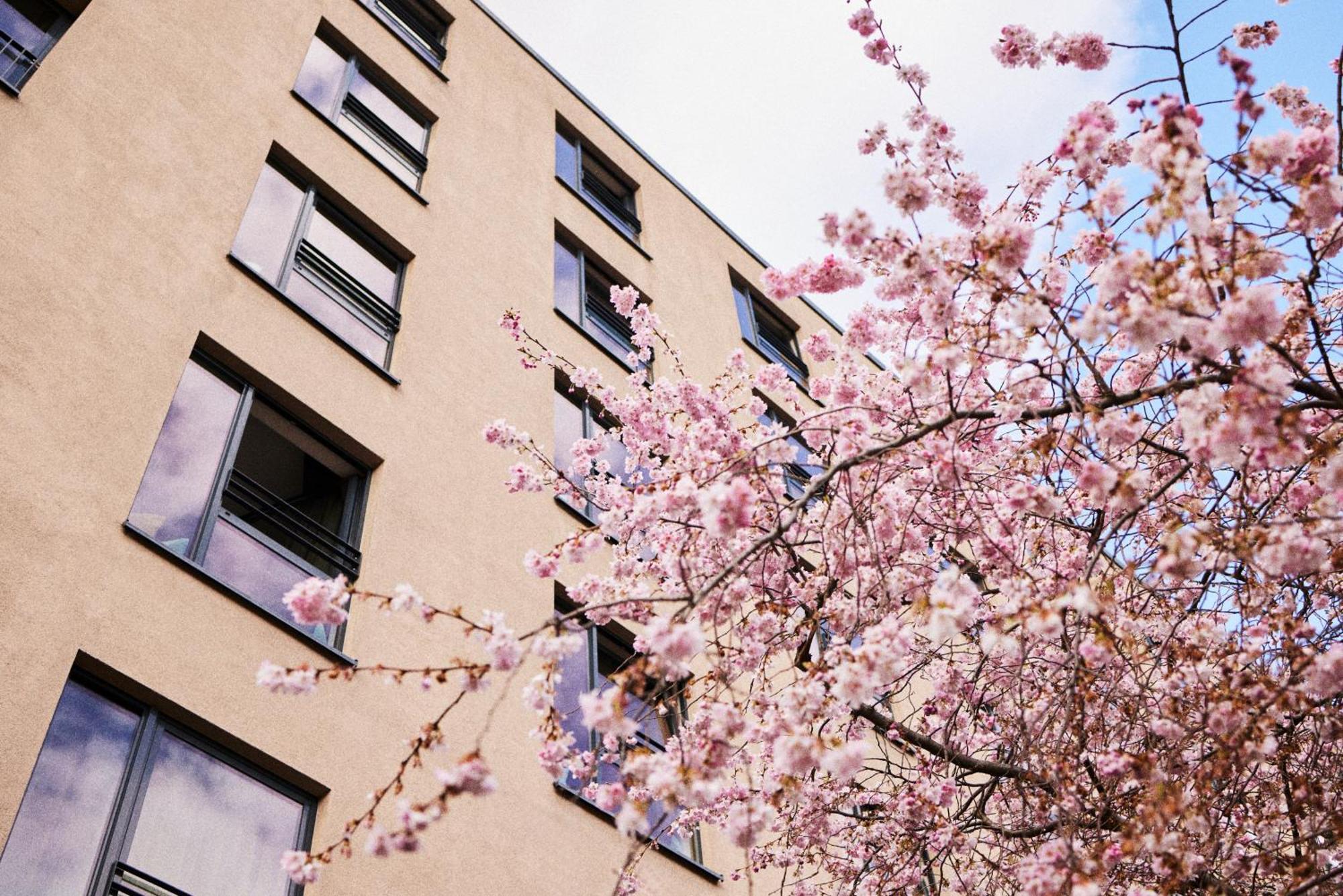 Hotel The George Hamburg-Harburg