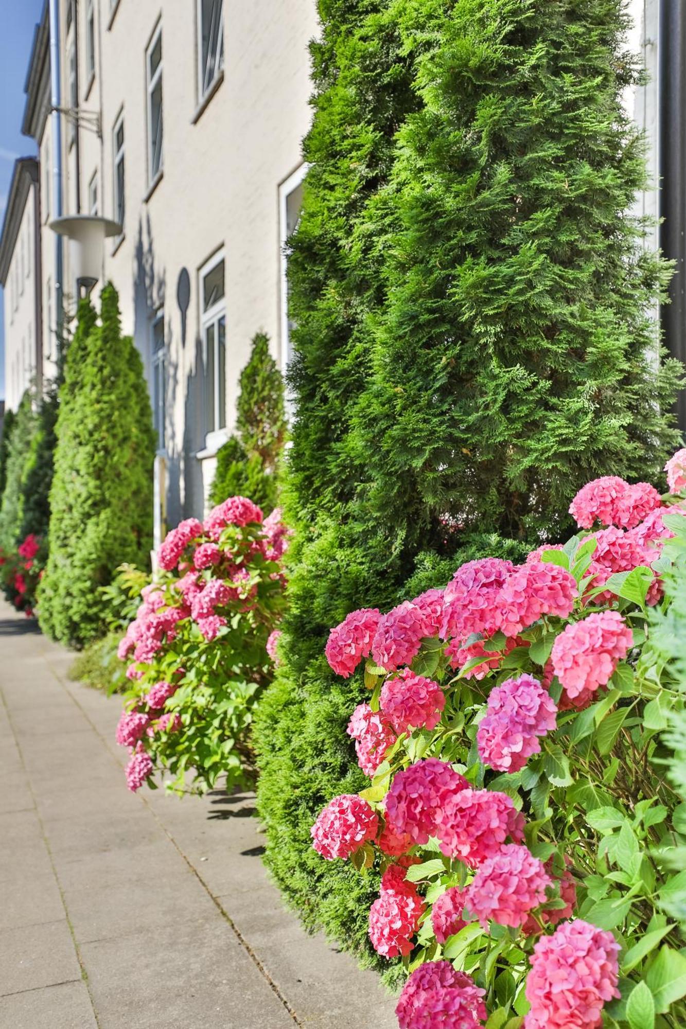 Aparthotel Berne